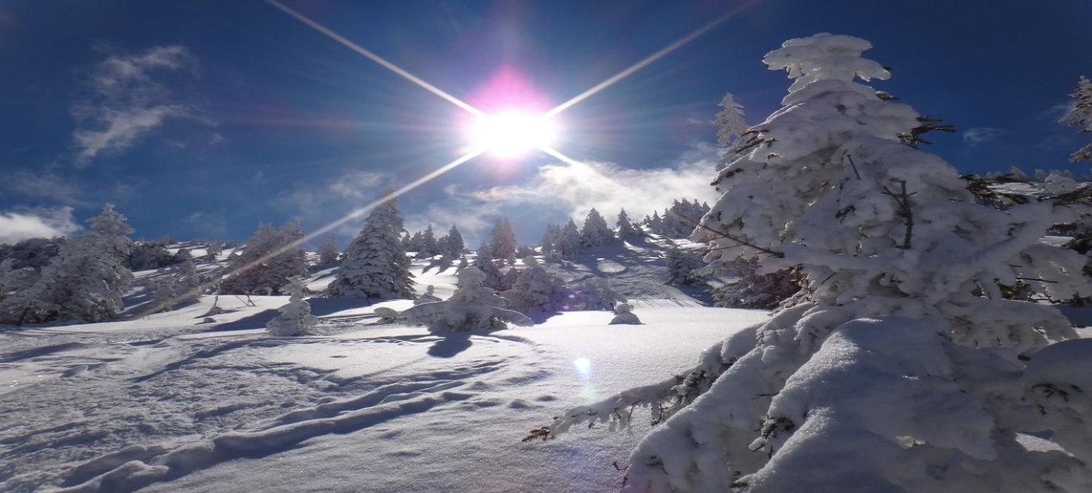 Alpine Lodge By Apartment Managers Кирхберг ин Тирол Екстериор снимка